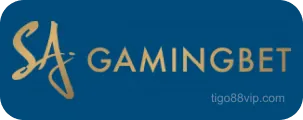 Đối tác Gaming Bet - Bảo mật thanh toán tuyệt đối
